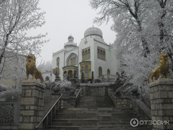 Железноводский курортный парк (Россия, Железноводск) фото