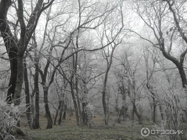 Железноводский курортный парк (Россия, Железноводск) фото