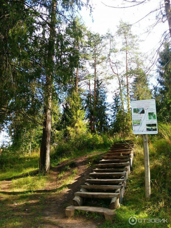 Экскурсия Святыни села Сизьмы (Россия, Вологодская область) фото