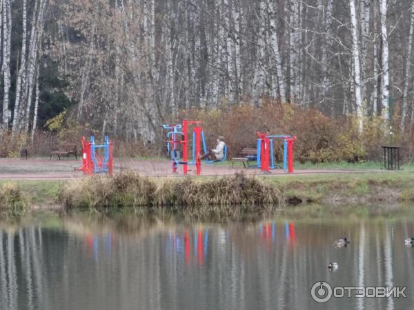 Национальный парк Лосиный Остров (Россия, Москва) фото