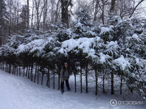 Национальный парк Лосиный Остров (Россия, Москва) фото