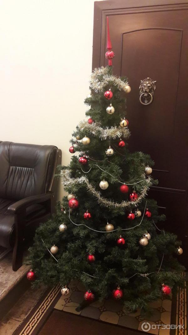 Гостиница Лиготель 3* (Россия, Санкт-Петербург) фото