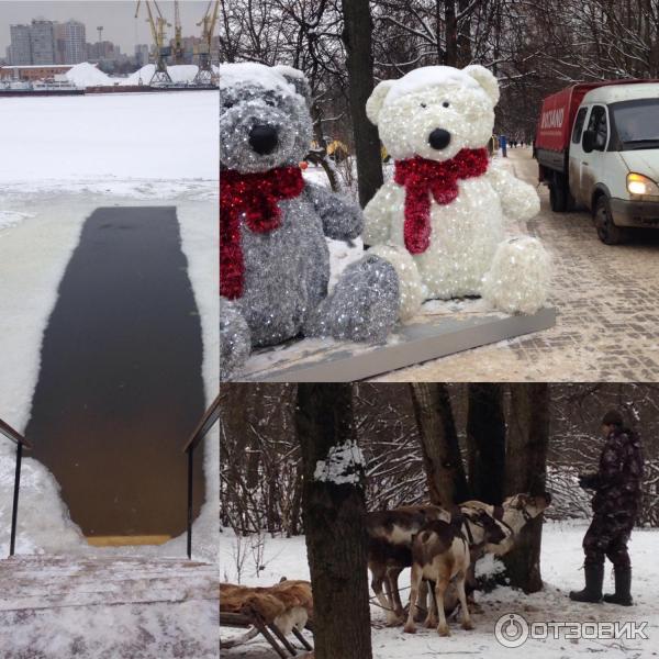 Музейно-парковый комплекс Северное Тушино (Россия, Москва) фото