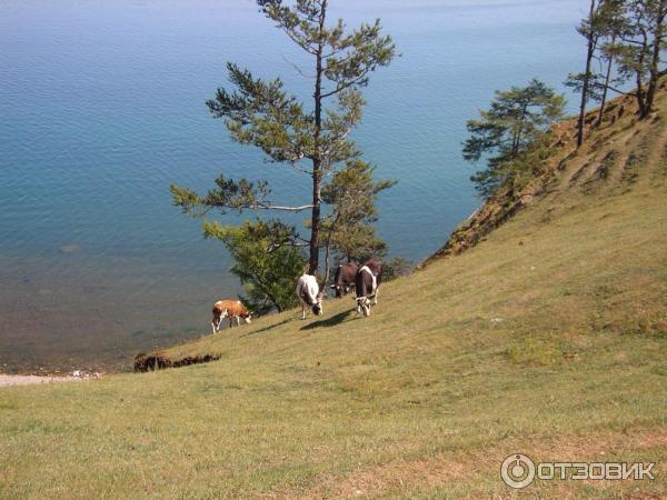 Отдых на озере Байкал (Россия, Иркутская область) фото