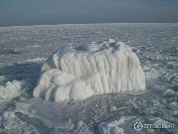 Одесса море Аркадия фото