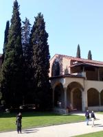 Смартфон ZTE Blade X7 фото