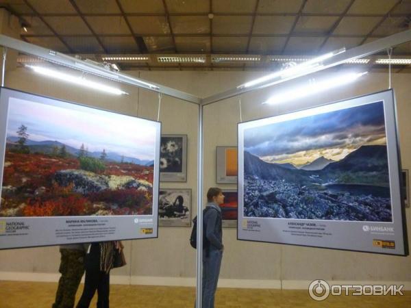 Фотовыставка журнала National Geographic Дикая природа России-2017