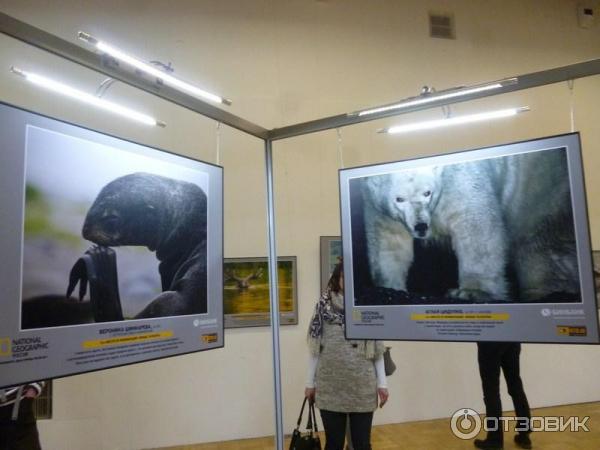 Фотовыставка журнала National Geographic Дикая природа России-2017