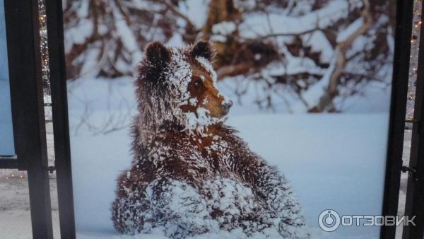 Фотовыставка Зимние фотоистории на Тверском бульваре (Россия, Москва)