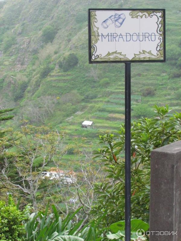 Мадейра (Португалия) фото
