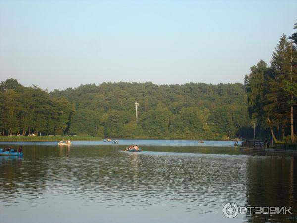 Озеро Тихое (Россия, Светлогорск) фото