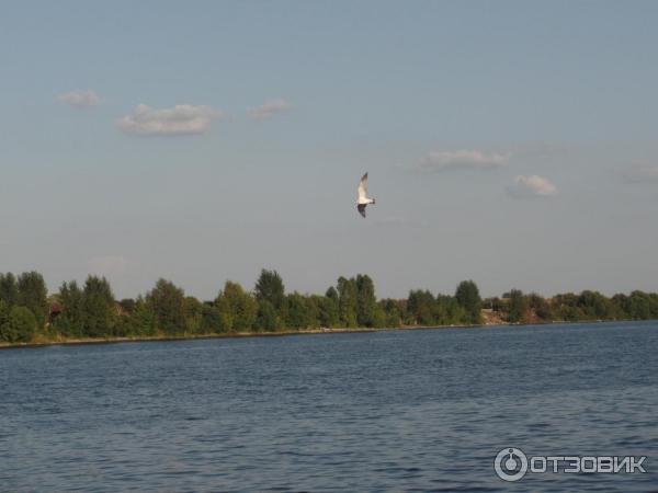 Прогулка на теплоходе Москва по реке Волге (Россия, Ярославль) фото