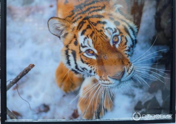 Фотовыставка Властелины вершин на Тверском бульваре (Россия, Москва)