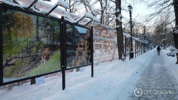 Фотовыставка Властелины вершин на Тверском бульваре (Россия, Москва)