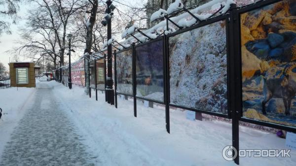 Фотовыставка Властелины вершин на Тверском бульваре (Россия, Москва)