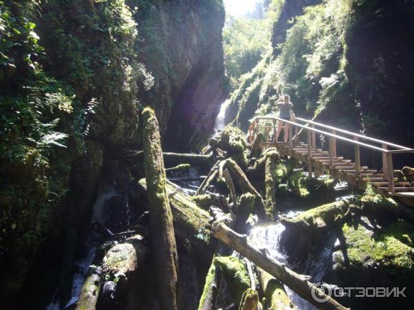 Турбаза Эстюба (Россия, Горный Алтай) фото