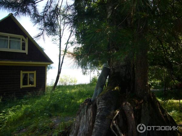 Турбаза Эстюба (Россия, Горный Алтай) фото