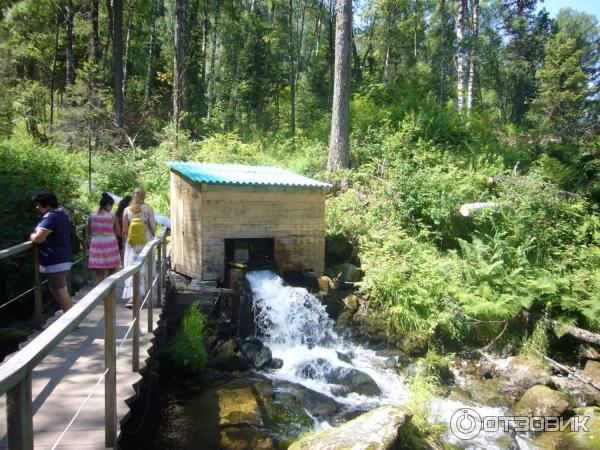 Турбаза Эстюба (Россия, Горный Алтай) фото