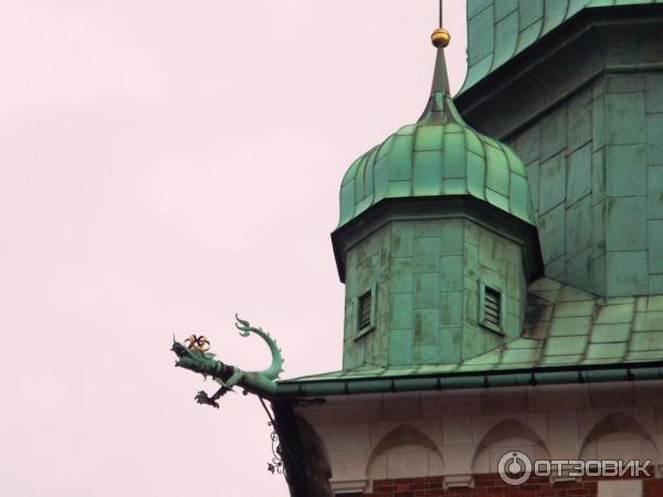 Музейный комплекс Вавельский замок (Польша, Краков) фото