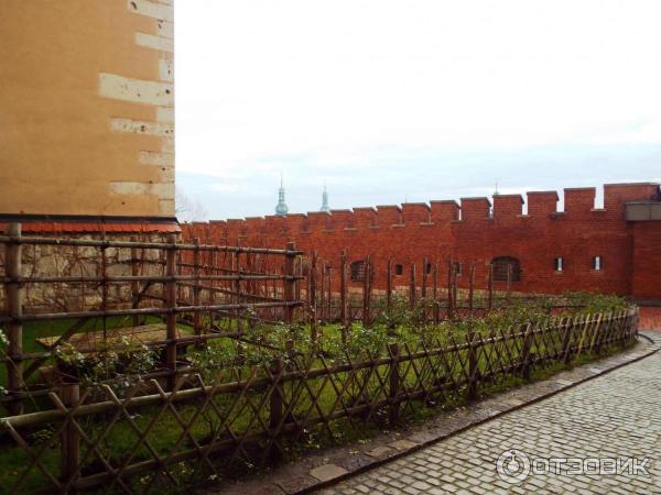 Музейный комплекс Вавельский замок (Польша, Краков) фото