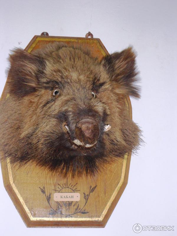 Новочеркасский музей истории Донского казачества (Россия, Новочеркасск) фото