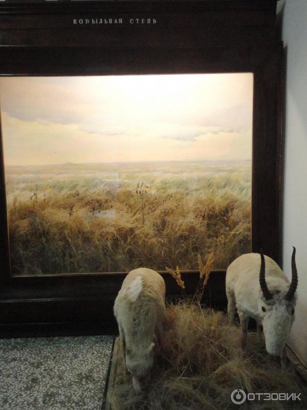 Новочеркасский музей истории Донского казачества (Россия, Новочеркасск) фото