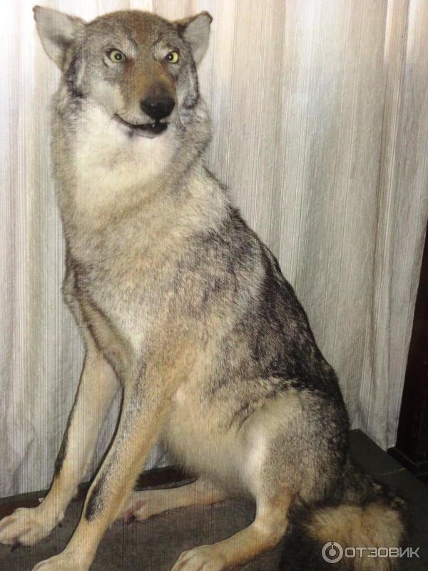 Новочеркасский музей истории Донского казачества (Россия, Новочеркасск) фото