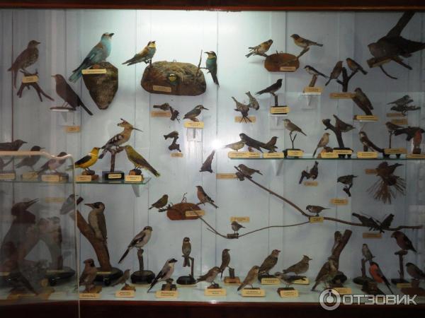 Новочеркасский музей истории Донского казачества (Россия, Новочеркасск) фото