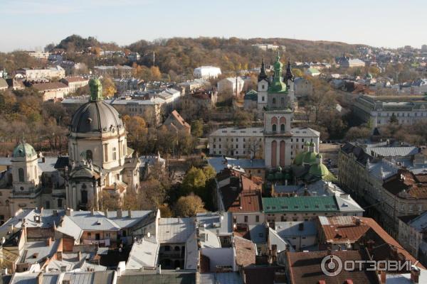 Дом ученых (бывшее графское казино) (Украина, Львов) фото