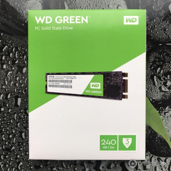 Коробка SSD Western Digital M.2 240GB WDS240G1G0B