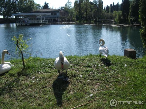 Гостиница Абхазия (Абхазия, Новый Афон) фото