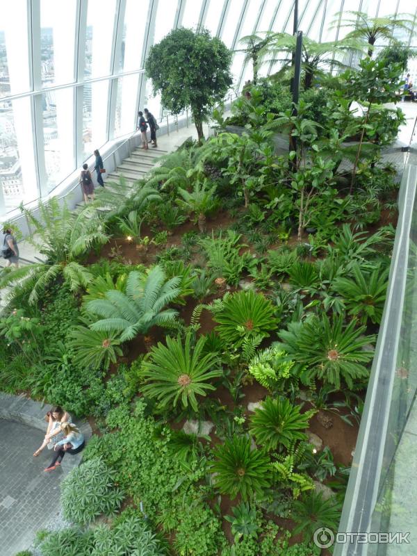 Зимний сад Sky Garden (Великобритания, Лондон) фото