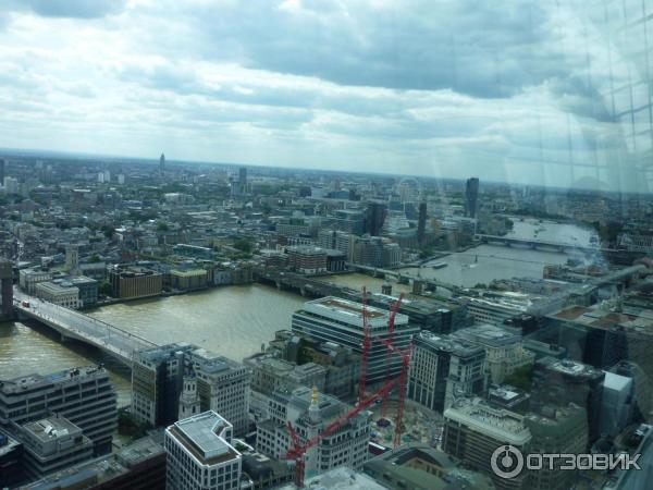 Зимний сад Sky Garden (Великобритания, Лондон) фото