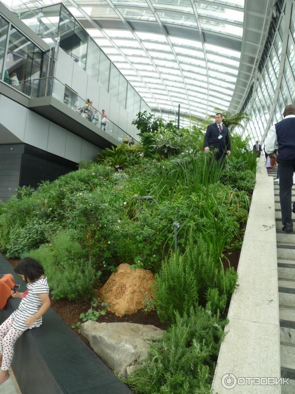 Зимний сад Sky Garden (Великобритания, Лондон) фото