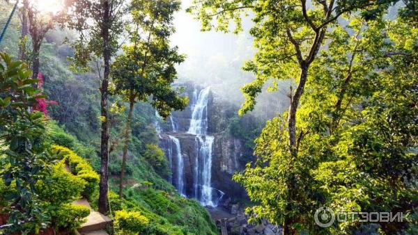 Отель Ramboda Falls 4* (Шри-Ланка, Нувара Элия) фото