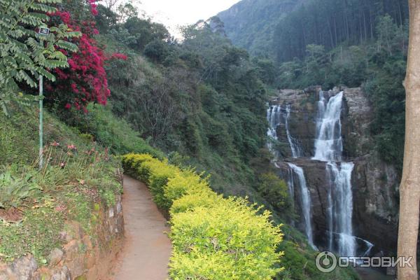 Отель Ramboda Falls 4* (Шри-Ланка, Нувара Элия) фото