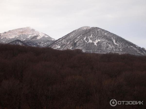 Отель Буковая роща Железноводск фото