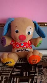 Музыкальная игрушка Fisher-Price "Ученый щенок" фото