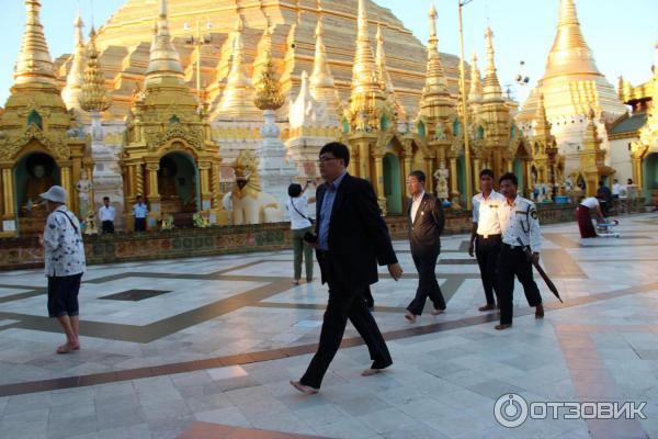 Пагода Shwedagon (Мьянма, Янгон) фото