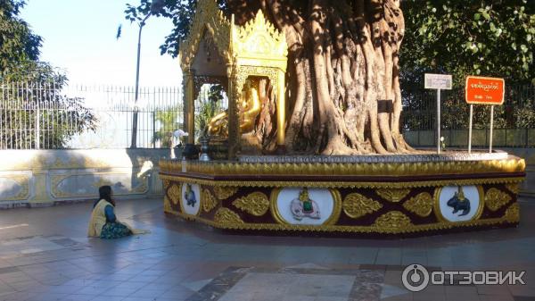 Пагода Shwedagon (Мьянма, Янгон) фото