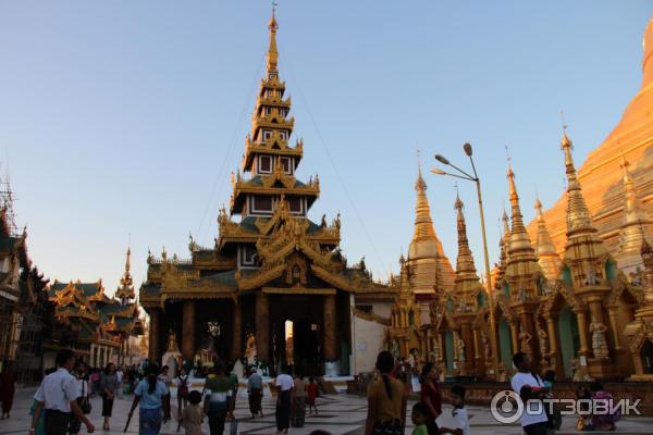 Пагода Shwedagon (Мьянма, Янгон) фото