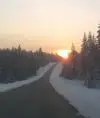 lbl