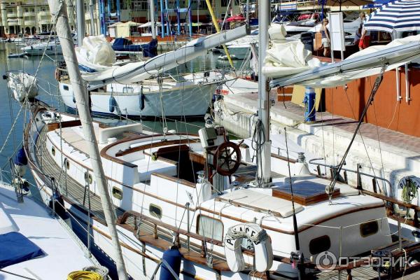 Экскурсия в порт Puerto Marina (Испания, Бенальмадена) фото