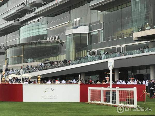 Конные скачки Dubai World Cup (ОАЭ, Дубай) фото