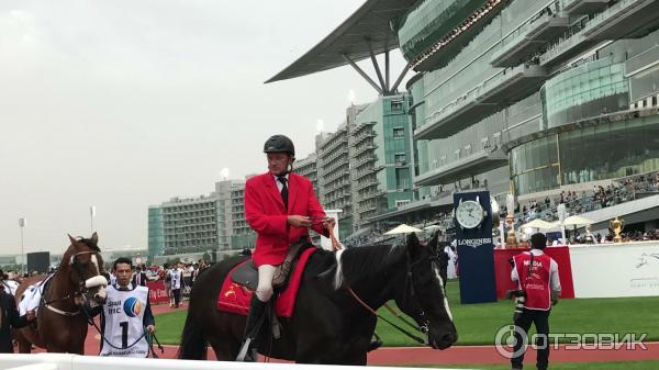 Конные скачки Dubai World Cup (ОАЭ, Дубай) фото