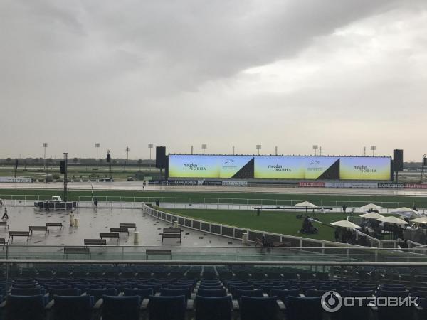 Конные скачки Dubai World Cup (ОАЭ, Дубай) фото