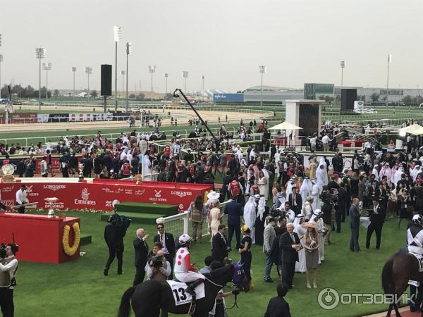 Конные скачки Dubai World Cup (ОАЭ, Дубай) фото