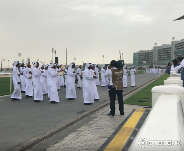 Конные скачки Dubai World Cup (ОАЭ, Дубай) фото