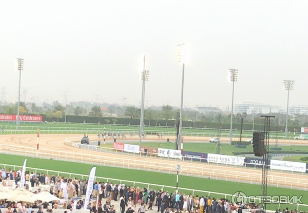 Конные скачки Dubai World Cup (ОАЭ, Дубай) фото