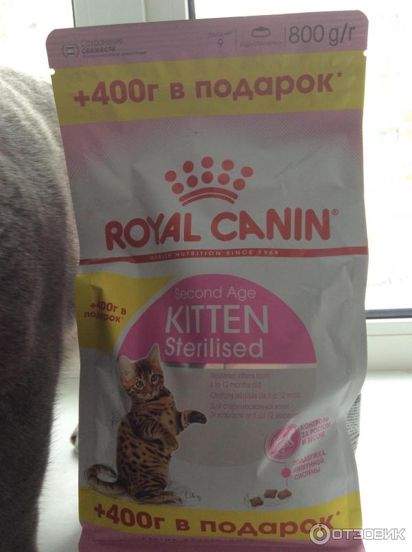 Корм для стерилизованных котят Royal Canin Kitten Sterilised фото